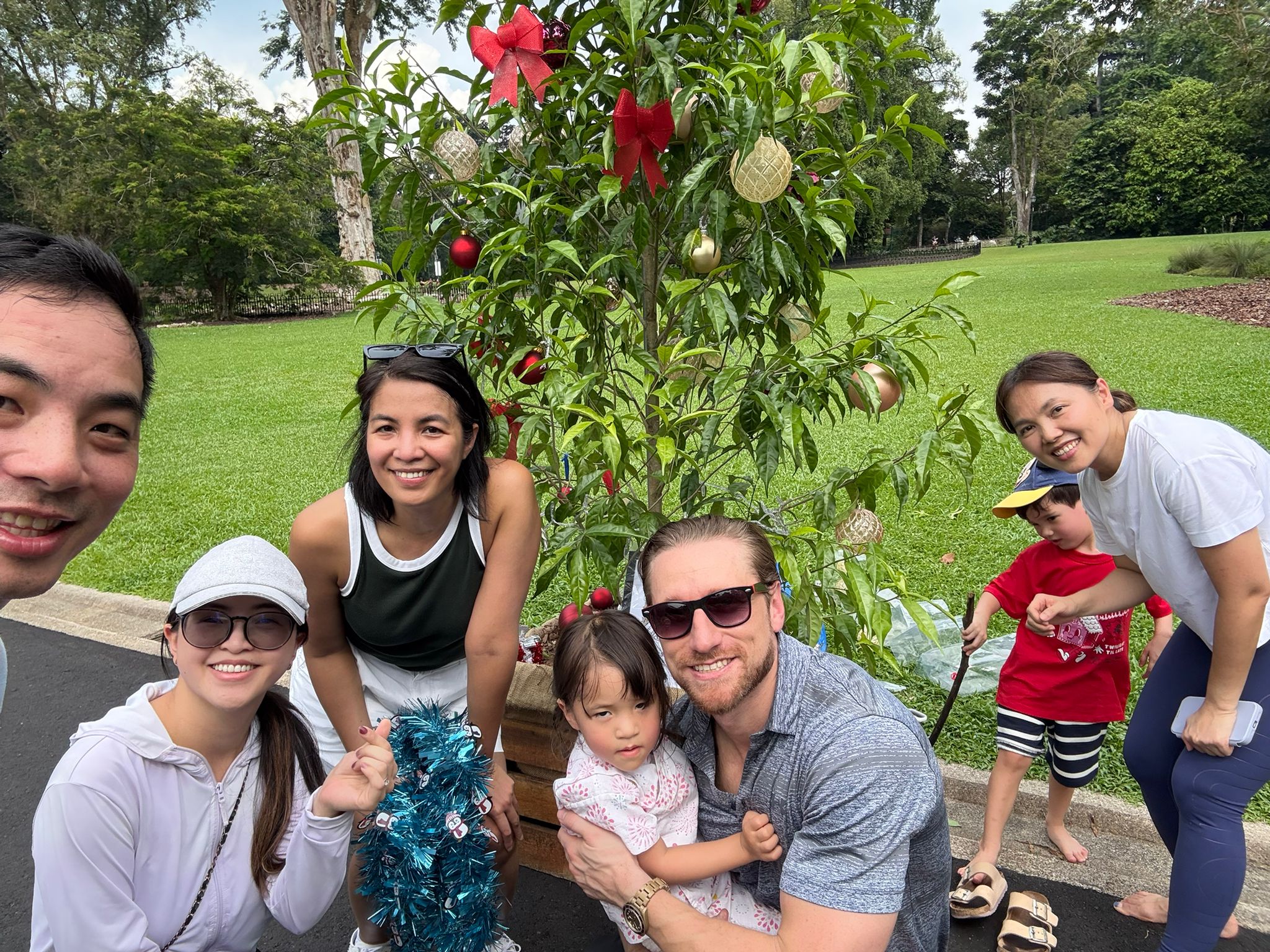 Harvard Christmas Tree
